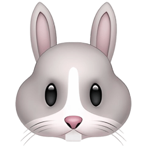 bunny